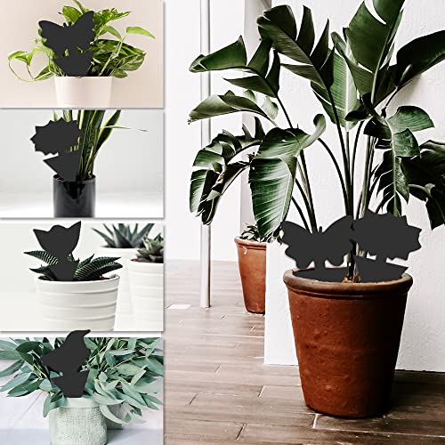 36 Pack Fungus Gnat Traps for House Plants, Sticky Traps for Indoor Outdoor Use to Get Rid of Whitefly Mosquitoes Fungus Gnats Thrips Leafminer Flying Insects Protect Your Plants (Black)