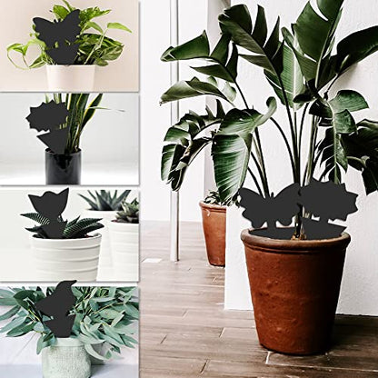 36 Pack Fungus Gnat Traps for House Plants, Sticky Traps for Indoor Outdoor Use to Get Rid of Whitefly Mosquitoes Fungus Gnats Thrips Leafminer Flying Insects Protect Your Plants (Black)