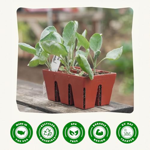 Epic Gardening 6-Cell Seed Starter Tray - 6 Trays - Terracotta - color: Terracotta