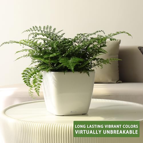 Dexceder 9x8 Self Watering Planter (White High Gloss) - color: Ceramic White, size: 9x8