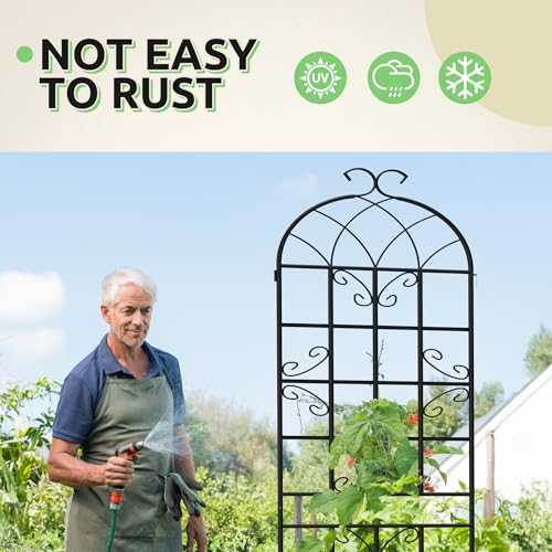 4-Pack 87" x 20" Butterfly Arch Black Metal Garden Trellises - color: 4 Pack 87"- Butterfly Black