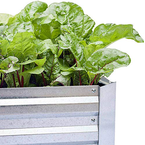 Galvanized Raised Garden Bed 8x4x1ft Single Unit - size: 8x4x1ft (1 PC)