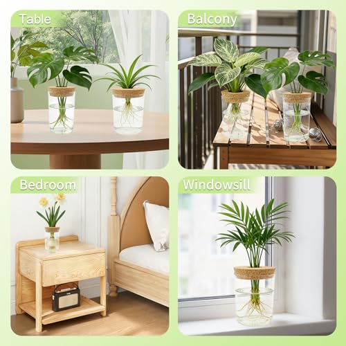 4 Pack Glass Plant Propagation Station,Desktop Vases for Home Office Decor