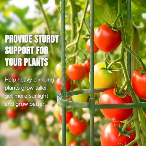 3 Pack 59 Inch Height Adjustable Tomato Cages for Garden - color: Green