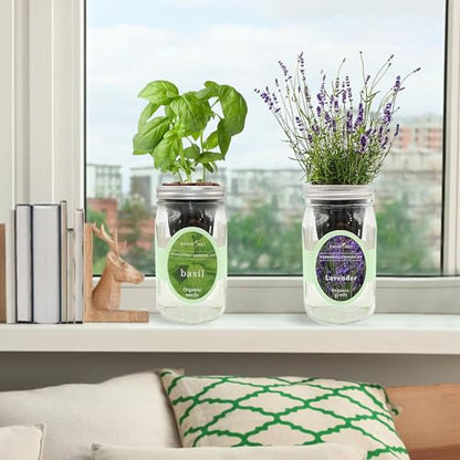 2-Pack Hydroponic Mason Jar Herb Garden Kit, Indoor Herb Garden Self-Watering Starter Kit (Basil,Lavender)