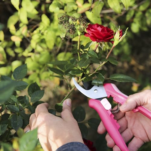 Fiskars Floral Pruning Shears, Plant Cutting Scissors for Deadheading - color: Rose Petal Pink