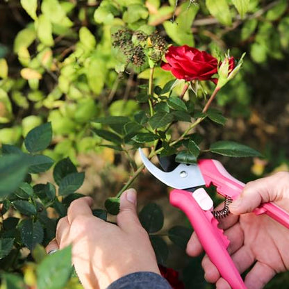 Fiskars Floral Pruning Shears, Plant Cutting Scissors for Deadheading - color: Rose Petal Pink