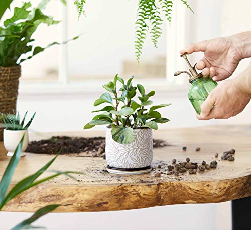 D'vine Dev Embossed Leaves Ceramic Planter, 4 in, Smoked White, 27-A-Z-1 - color: Smoked White, size: 4 Inch