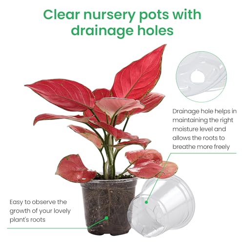 Bluepro Clear Nursery Pots with Drainage Holes, 3.5/4/5 Inch, 36-Pack - size: 3.5/4/5 Inch-36Pcs