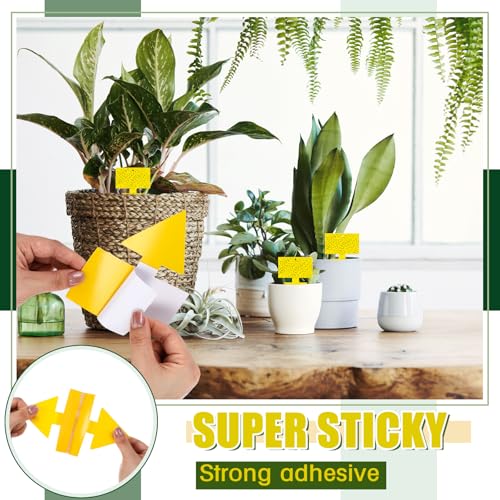 Quality 100 Pcs Yellow Sticky Traps for Plant Gnats, Dual Sided Fly Trap