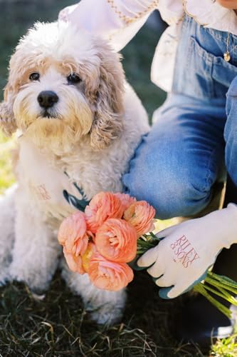 RILEY & SONS Eco-Friendly Garden Gloves - Biodegradable, GOTS Certified Organic Cotton, FSC Certified Rubber, Unisex Sizing - size: Large