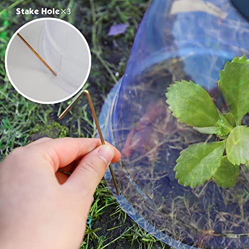 MorTime 6 Pack Garden Cloche Plant Dome, 7.3" D x 6.9" H Plastic Plant Bell Cover Reusable Mini Greenhouse with 18 Ground Securing Pegs & 10 Plant Labels for Outdoors Frost Freeze Protection