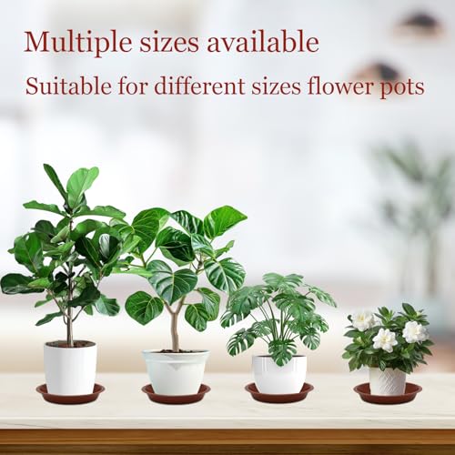 6 Pack 6 Inch Terracotta Plant Saucers Plastic Drip Trays for Pots - color: Terracotta, size: 6 Inch