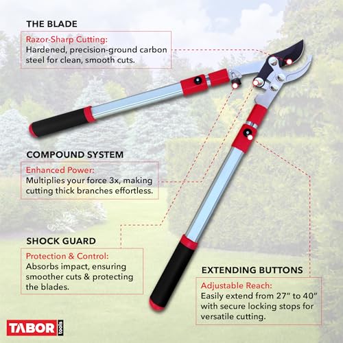 TABOR TOOLS GG21A Extendable Bypass Lopper with Compound Action, 27-40 Inch Telescopic Tree Trimmer & Branch Cutter, Long Reach Tree Pruner with 1 1/2 Inch Cut Capacity, Makes Clean Neat Cuts - style: GG21A 27"-40" Extendable Bypass Lopper with lever