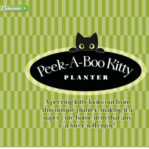 Streamline Imagined Ceramic Planter Pot for Succulent - Peek-A-Boo Kitty - Indoor - 6.75 x 6.75 x 6.75 inches - color: Black