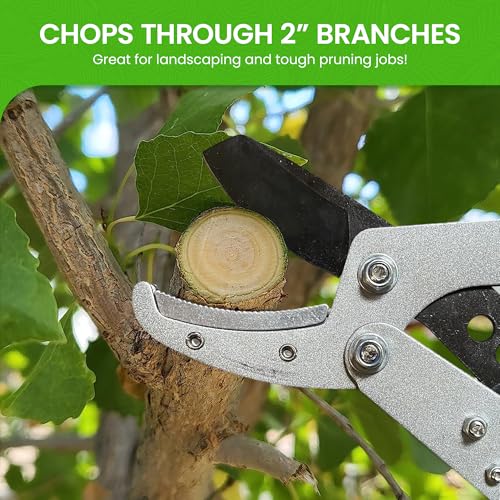 Garden Guru Extendable Anvil Lopper Tree Trimmer with Compound Action, Chops Thick Branches with Ease, 28-40”, Non-Stick High Carbon Steel Blade, Heavy Duty Branch Cutter, 2 Inch Clean Cut Capacity, 2 - size: 2 Pack, style: Extendable Anvil Lopper