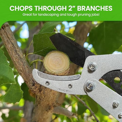 Garden Guru Extendable Anvil Lopper Tree Trimmer with Compound Action, Chops Thick Branches with Ease, 28-40”, Non-Stick High Carbon Steel Blade, Heavy Duty Branch Cutter, 2 Inch Clean Cut Capacity, 2 - size: 2 Pack, style: Extendable Anvil Lopper