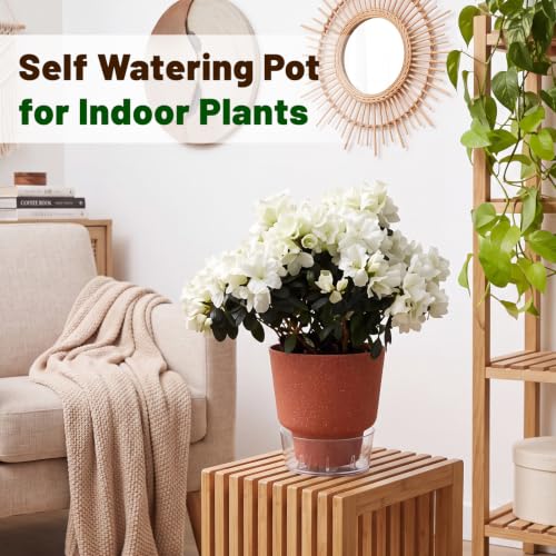 10 Pack Self Watering Plant Pots 6 Inch Plastic Planters with Drainage Holes and Water Level Window Indoor Outdoor Flower Pots with Reservoir for Succulents Herbs Orchids and House Plants
