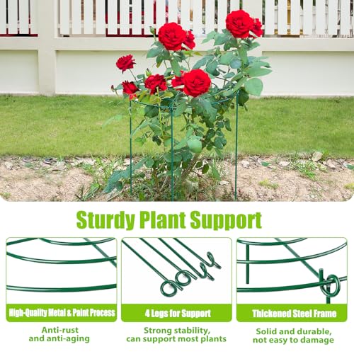 4 Pack Large Peony Cages and Supports, 14" D x 24" H Metal Plant Supports - size: 14" Wx24" H-4 Pack