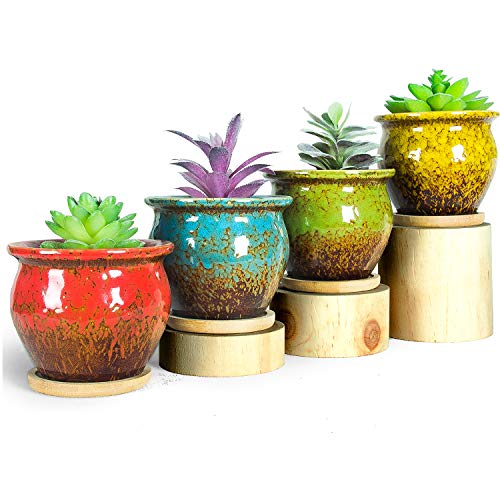 Succulent Pots, 4.5 Inch Small Plant Pots with Drainage Tray - color: Colorful