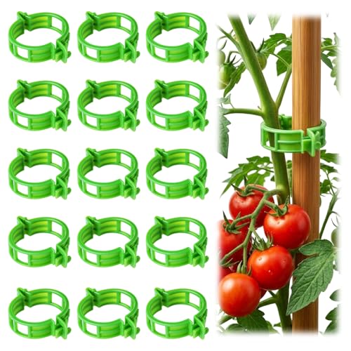 100Pcs Tomato Clips for Climbing Plants Trellis Plant Support Clips - color: Green