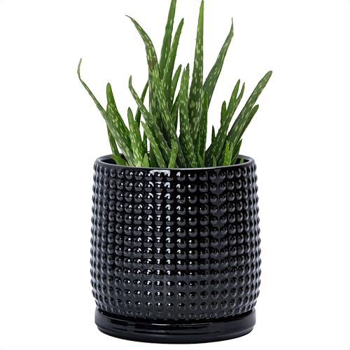 D'vine Dev Beaded Ceramic Pot with Saucer, 6 in, Glossy Black, 27-C-X-2 - color: Glossy Black, size: 5.8 Inch