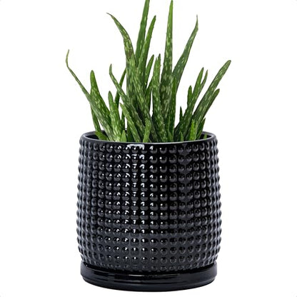 D'vine Dev Beaded Ceramic Pot with Saucer, 6 in, Glossy Black, 27-C-X-2 - color: Glossy Black, size: 5.8 Inch