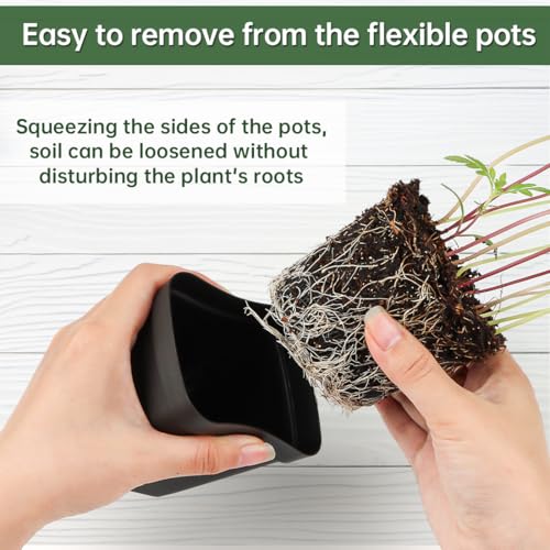 BTPLASTIK Square Nursery Pots 2.7 Inch 180 Pcs, Plastic Small Flower Pots with Drainage Holes, Sturdy Seedling pots for Planting, Cuttings (Black) - color: Black, size: 2.7 Inch-180P