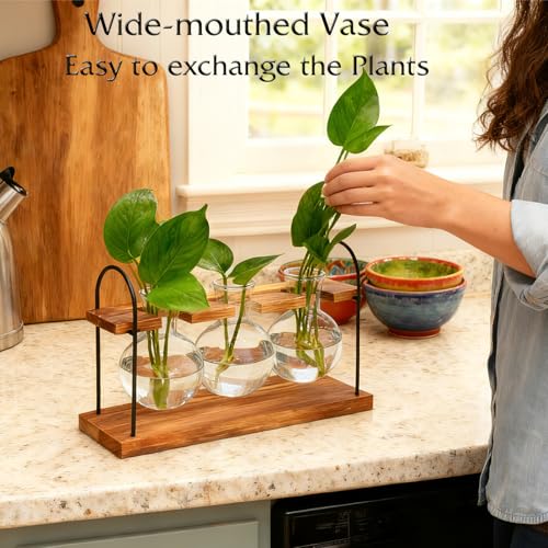 Plant Terrarium with Wooden Stand, Birthday Gift for Women Mom Plant Lover