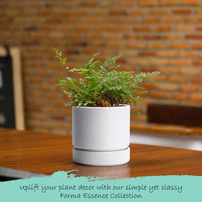 Phoenix Vine 4 Inch Planter Pot with Drainage Hole & Saucer, Deep Water Catch Tray, Straight Cylindrical Round Pot for Plants, Matte White, Pack of 2, 23-B-R-2 - color: Matte White, size: 4" (2 Pack)