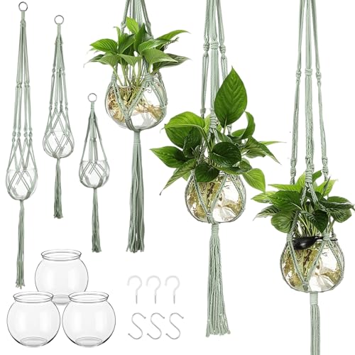 Colingmill 6 Pcs Plastic Plant Propagation with Boho Macrame Hanger Wall Plant Propagation Station Hanging Holder Include Hooks Kit for Indoor Home Garden Office Decor 3 Size (Sage Green) - color: Sage Green