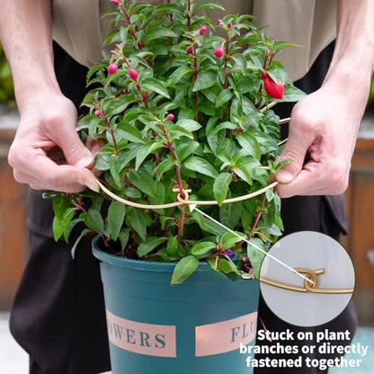 Monstera Plant Support Stem Stabilizer-5PCS Stem Holder (9 × 7.6 in) - size: 9 x 7.6 inches