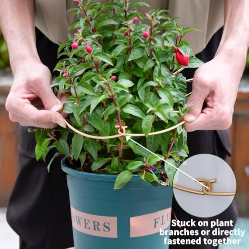 Monstera Plant Support Stem Stabilizer-5PCS Stem Holder (9 × 7.6 in) - size: 9 x 7.6 inches