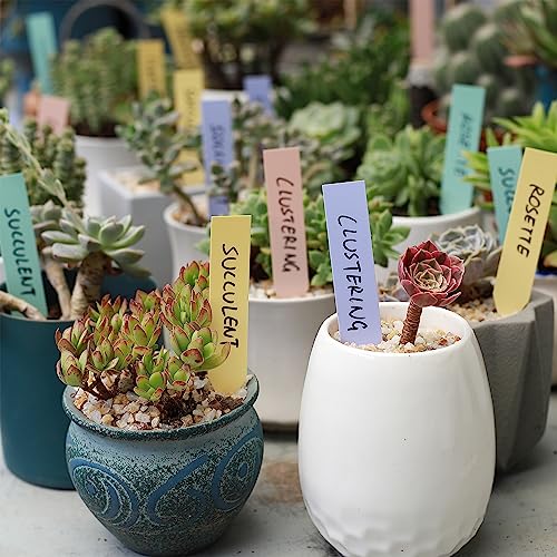 Mr. Pen- Plastic Plant Labels, 100 Pcs, 4“, Pastel Colors Plant Markers - color: Pastel Plant Labels