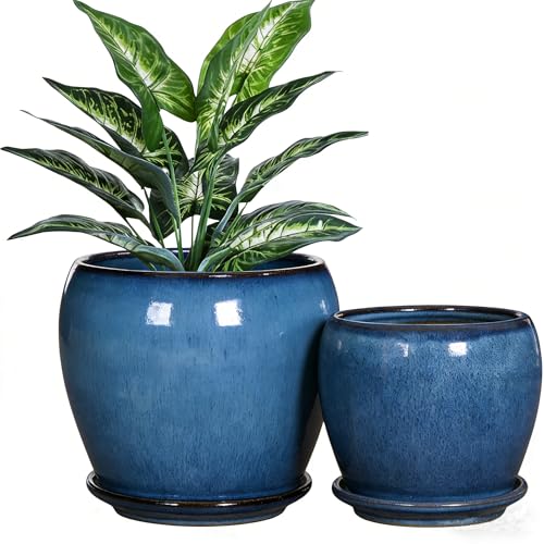 GnFlus Blue Ceramic Planter Pots with Drainage Holes, 5 Inch + 4 Inch Set of 2, Flower Plants Pot with Saucers Tray Planter Garden Pot for Succulent Cactus Home Decoration Gift Indoor Outdoor - color: Blue#4