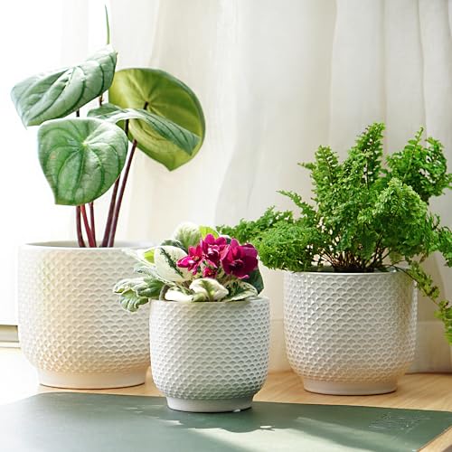 4 + 5 + 6 Inch Ceramic Pots for Indoor Plants, Succulents Plant Pots, Orchid Flower Pot with Drainage Hole, Modern Clay Stoneware Planters, Set of 3 (White, 4+5+6 Inch) - color: White
