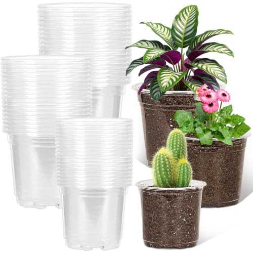 JERIA 60 Pack 5/6/7 Inch Clear Nursery Pots with Drainage Holes, Clear Plant Pot for Planting, Transparent Plastic Plant Pots,Durable Seed Starting Pot for Succulents - size: 5/6/7Inch-60Pack