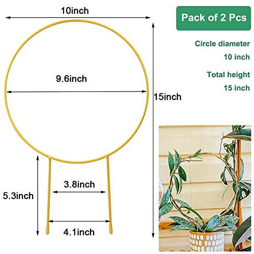 2 Pack Circle Trellis for Climbing Plants Indoor, 15" Gold Small Plant Support Stakes, Flower Houseplant Hoya Support for Potted Plants & Garden Stem Vines
