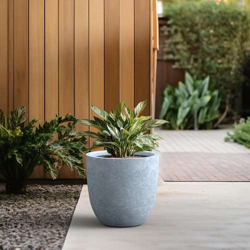 Kante Large Round Bowl Blue Gray Concrete Planter 18" Dia, Outdoor - color: Gray, size: 18"d