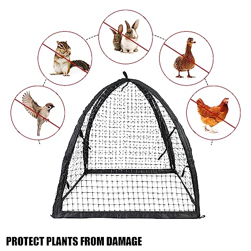 Strawberry Plant Protector,22 x22 x 22 Inch Cloche Dome for Plants