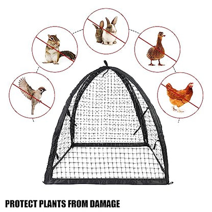 Strawberry Plant Protector,22 x22 x 22 Inch Cloche Dome for Plants