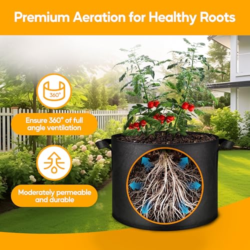 Simple Deluxe Grow Bags 5 Gallon 10 Pack Planter Pots with Handles, Thickened Nonwoven Fabric Aeration Cloth Bag, Heavy Duty Gardening for Tomoato, Potato, Vegetable, Herbs and Flowers, Black - color: 10 Pack, size: 5 Gallon