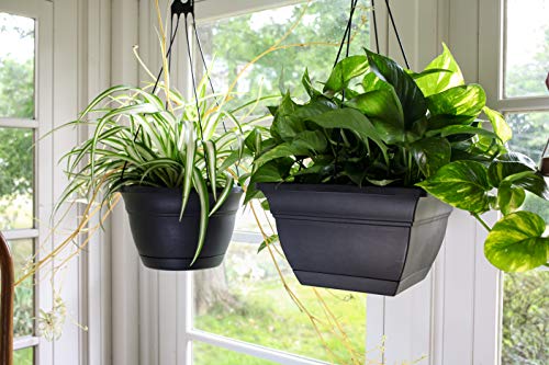 The HC Companies Eclipse Square Hanging Planter for Indoor Plants - Contemporary Hanging Plant Pot w/Attached Saucer - Lightweight & UV-Resistant Hanging Plant Holder (12” Warm Gray, Pack of 2) - color: Warm Gray, size: 12" (Pack of 2)
