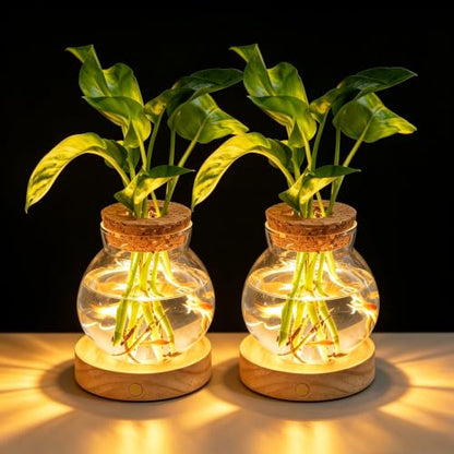 Plant Propagation Station with Wooden Saucer, Glass Terrarium with Stepless Dimming Function Hydroponic Glass Container Vase Jars Gardening Gifts for Mom Women Plant Lovers(2 Pack) - color: Clear 2 Pack
