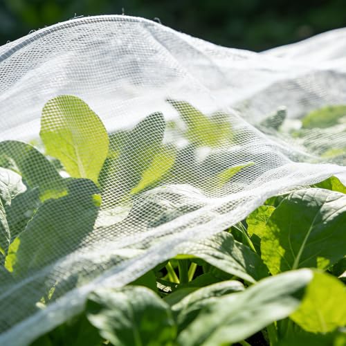 Garden Netting Pest Barrier,8'x10' Fine Bug Netting for Garden Protection Row Cover Raised Bed Screen Mesh Greenhouse Mosquito Net, Protecting Tree Plants Vegetable Flowers Fruits - size: 8FT*10FT