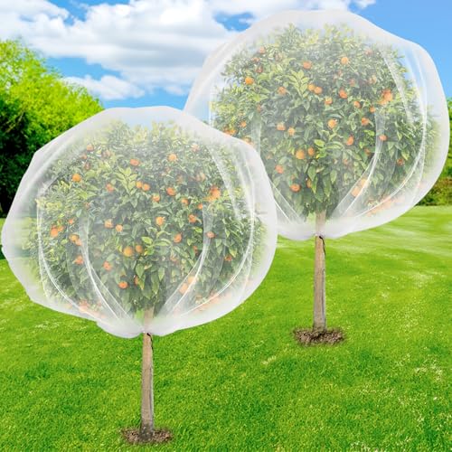 2 Pack 8.2 x 6.6 ft Fruit Tree Netting Covers with Drawstring - size: 8.2 x 6.6 FT/2Pack