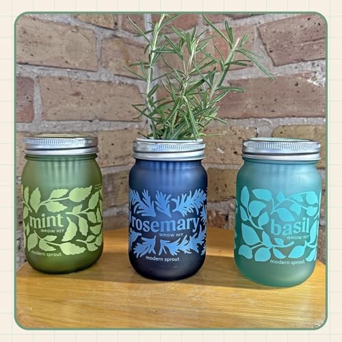 Modern Sprout Mason Garden Jar - Self-Watering Hydroponics Growing Kit-3Pk - color: Poppy + Rosemary + Mint