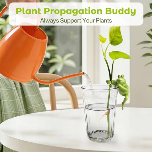 Plant Propagation Buddy, Frog Plant Propagation Holder Friend