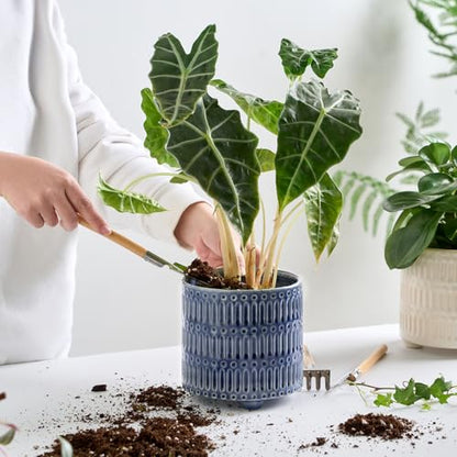 STHIE 5 Inch Ceramic Planters for Indoor Plants, Blue Cactu Snake Plant Pot - color: Reactive Glaze Blue