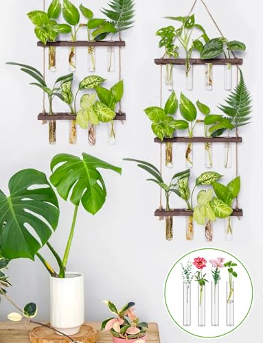 8 Tube Glass Plant Propagation Stations, Clear - color: Clear 8 Pcs